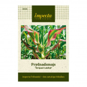 Prydmajs 'Striped-Leafed'
