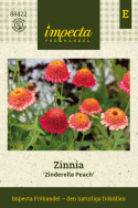 Frøkenhat 'Zinderella Peach', Spektakulære, fyldte, ferskenrosa til koralrøde blomster med tydeligt hævet midte.