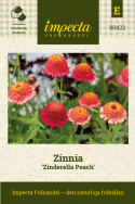 Frøkenhat 'Zinderella Peach', Spektakulære, fyldte, ferskenrosa til koralrøde blomster med tydeligt hævet midte.