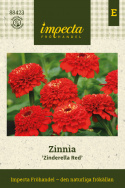 Frøkenhat 'Zinderella Red', Spektakulære, fyldte, strålende højrøde blomster.