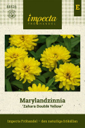 Frøkenhat ''''Zahara Double Yellow'''', Store, fuldt dobbelte blomster i strålen