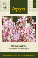 Pragtkærte 'Emmeline Pink Bouquet', Yndefulde klynger af lette, 2-3 cm store blomster i kirsebærrød til æbleblomst-rosa.
