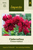 Fjervalmue 'Crimson Feathers'