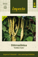 Stangbønne 'Golden Gate', Dyrkes op ad espalier eller anden støtte. Udmærket til frysning.