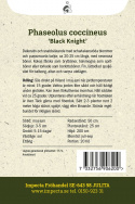 Pralbønne 'Black Knight', hurtigvoksende med skarlagenrøde blomster og sortlilla bælge, ca. 20-25 cm.