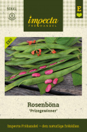 Pralbønne ''Prizegewinner'', Rødblomstrende med meget lange, velfyldte bælge.
