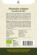 Tørrebønne 'Canadian Wonder', ca. 15 cm lange, grønne bælge, der kan høstes tidligt og bruges hele som snitbønner.