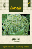 Broccoli F1 'Apolena', Fremragende sort til råkost og gratiner, gryderetter m.m. God frysesort