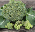 Broccoli F1 'Apolena', Fremragende sort til råkost og gratiner, gryderetter m.m. God frysesort