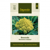 Broccoli 'Romanesco natalino'