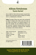 Forårsløg ''Kyoto Market''