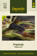 Popmajs 'Negrocine', Popcornmajs.  Små, buttede kolber, ca. 10 cm.