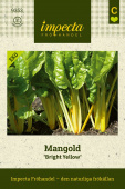 Mangold 'Bright Yellow'