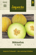 Netmelon F1 'Galia', Populær og tidlig sort med regelmæssigt runde, gulbrune frugter på ca. 1 kg.