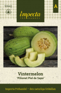 Frøskindsmelon 'Piñonet Piel de Sapo', Ovale, ribbede, let ru frugter på ca. 1-2 kg.
