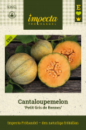 Cantaloupe-melon 'Petit Gris de Rennes', Fra 1600-tallet. Fransk delikatessemelon fra Rennes, hvis navn betyder 