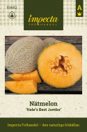 Netmelon 'Hale's Best Jumbo', Mørkegrønne, ovale frugter, dækket af et dekorativt, hvidt netmønster.