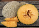 Netmelon 'Hale's Best Jumbo', Mørkegrønne, ovale frugter, dækket af et dekorativt, hvidt netmønster.