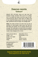 Sommergulerod 'Oxheart', Fra 1870'erne. Fransk sort, også kendt som Guérande.