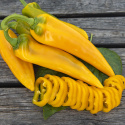 Peberfrugt ''Ora Long''