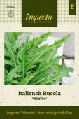 Italiensk Rucola 'Wildfire'