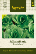 Salatcikorie ''Grumola Verde'', lange smalle blade, fremragende i sommersalater.