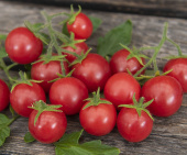 Cherrytomat 'Gartenperle'