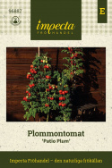 Blommetomat 'Patio Plum', busktomat med søjleformet vækst, hvor planterne kun bliver omkring 20 cm brede.