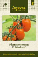 Blommetomat F1 'Kajsa Sweet', Lange, rigtbærende klaser med smukt skinnende, orangegule tomater.