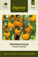 Cherrytomat 'Cereza Amarilla', Usædvanlig cherrytomat med kartoffel-lignende blade. Vidunderlig snacktomat,