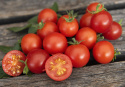 Cherrytomat ''Veranda Red''