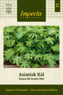 Asiatisk kål ''Asian All Green Mix'', asiatiske kålplanter med sprøde og smagful