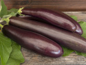 Aubergine ''Violet lunga 3'', Lange, smalle, lilla-sorte frugter med hvidt frugt