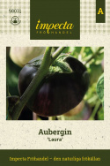 Aubergine 'Laura', Store, runde, skinnende lilla til sorte frugter på omkring 400 gram.