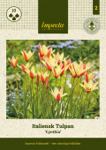 Hårdføre tulipaner