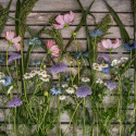Frøpakke Snitblomster ''''''''Rosa og blå''''''''