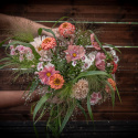 Frøpakke Snitblomster ''''''''Abrikos og rosa''''''''