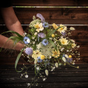 Frøpakke Snitblomster ''''''''Blå og gul