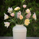 Tulipanmix ''''Drømmende abrikos'''', Blide og varme nuancer af abrikos, gul, rosa og cremefarvet.